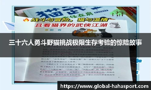 三十六人勇斗野猫挑战极限生存考验的惊险故事